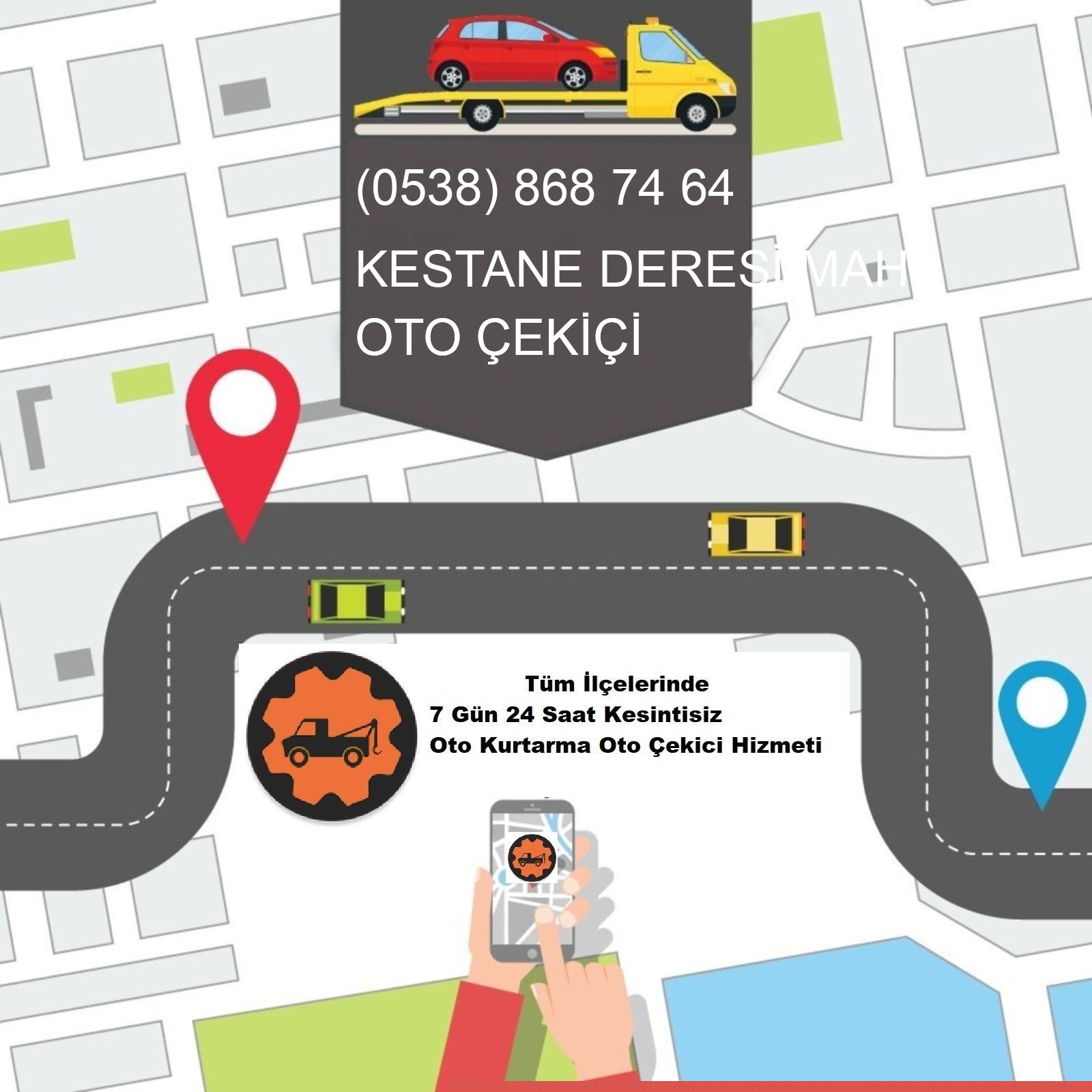 Kestane Deresi  Oto Çekici