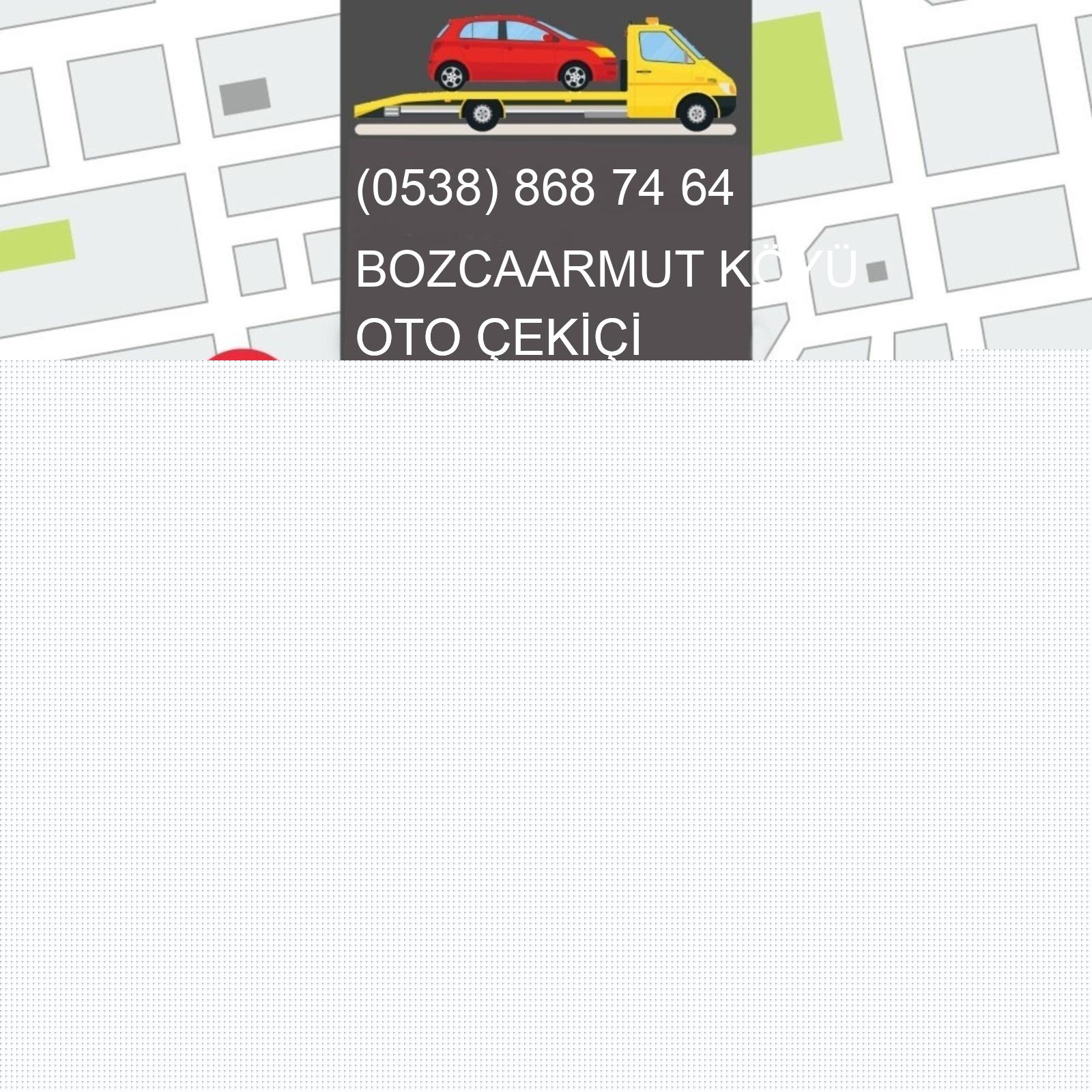 Bozcaarmut Köyü Oto Çekici